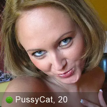 Pussycat